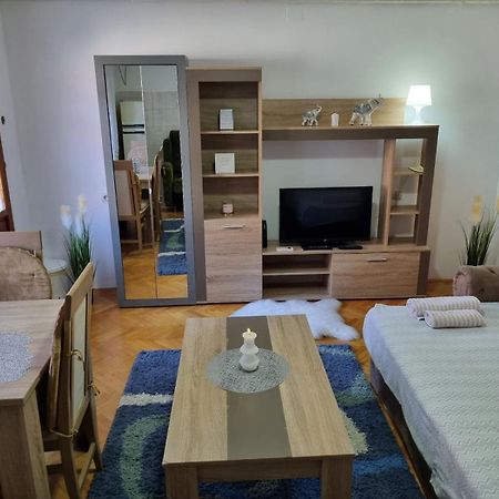 Family Apartmani Le Leskovac  Oda fotoğraf